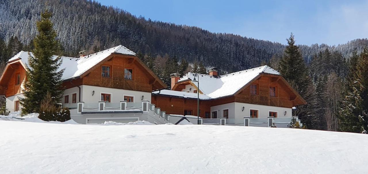Ferienhaus Alpenblick Krakauschatten المظهر الخارجي الصورة